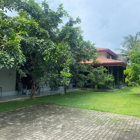 Negombo 146 Homestay Eksteriør billede