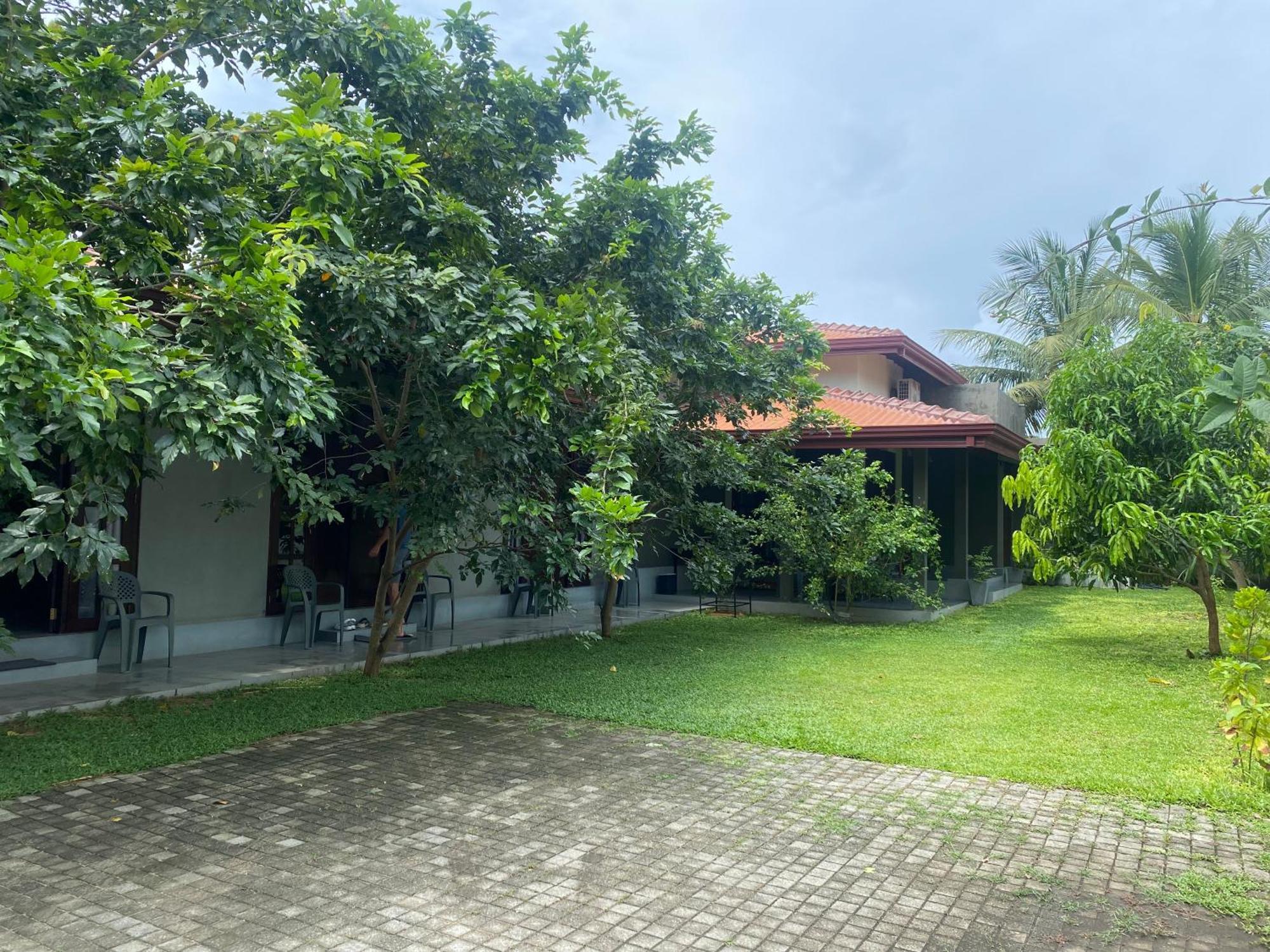 Negombo 146 Homestay Eksteriør billede