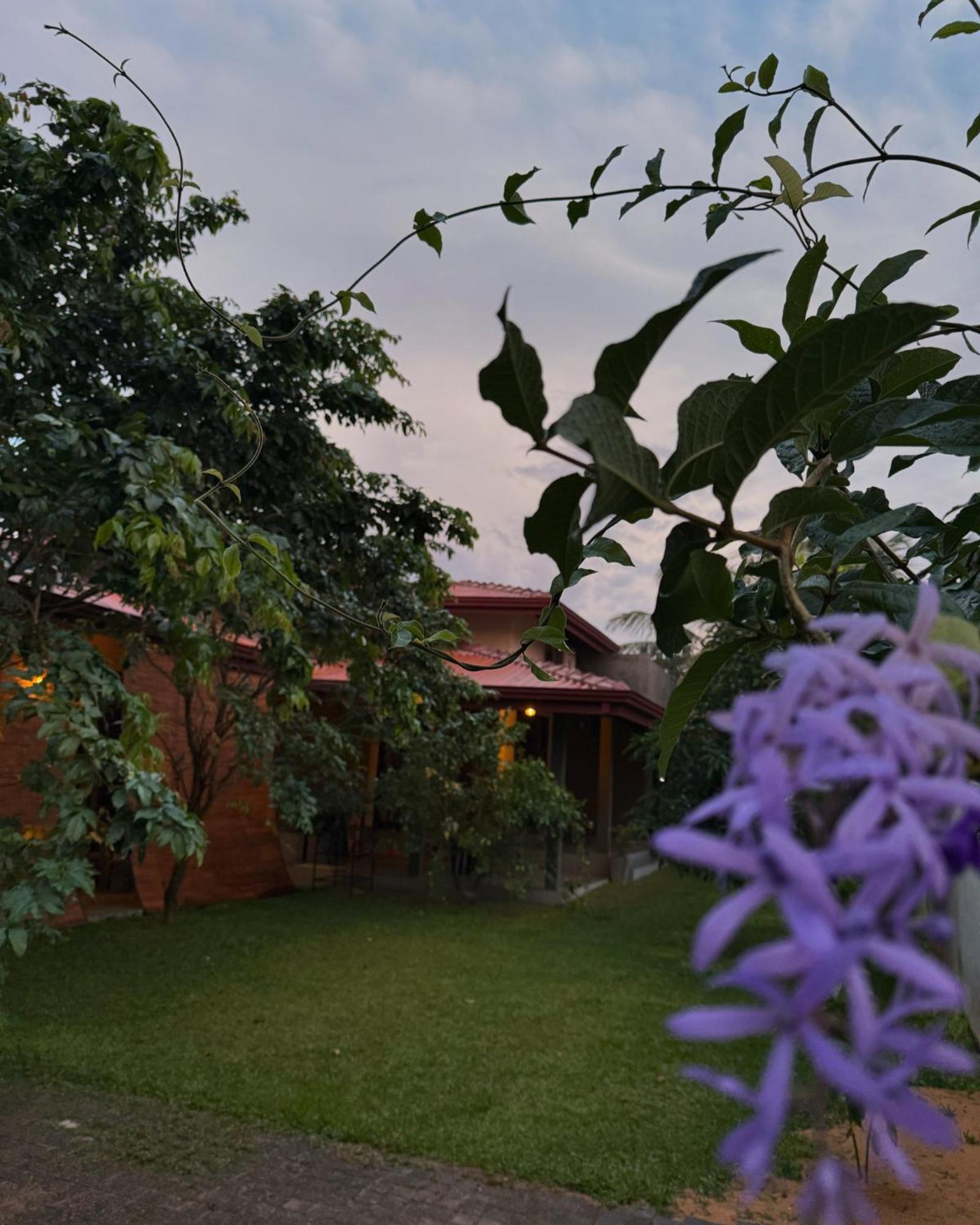 Negombo 146 Homestay Eksteriør billede